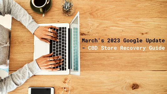 MARCH'S GOOGLE UPDATE - RECOVERY GUIDE (2023)