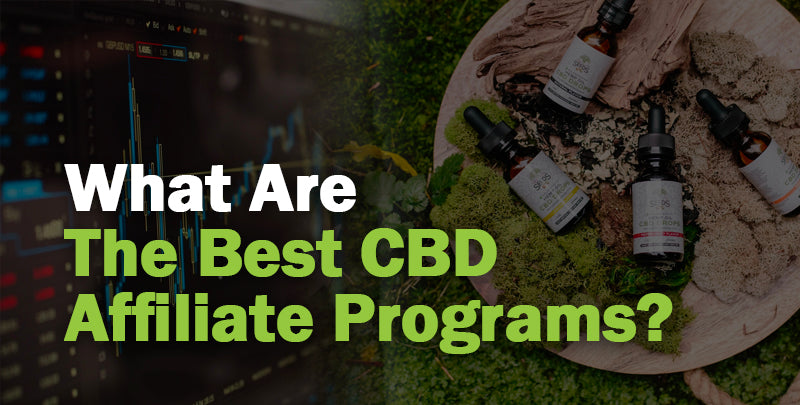 CBD Affiliates Cover