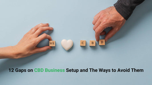 12 Gaps on CBD Business Setup and The Ways to Avoid Them
